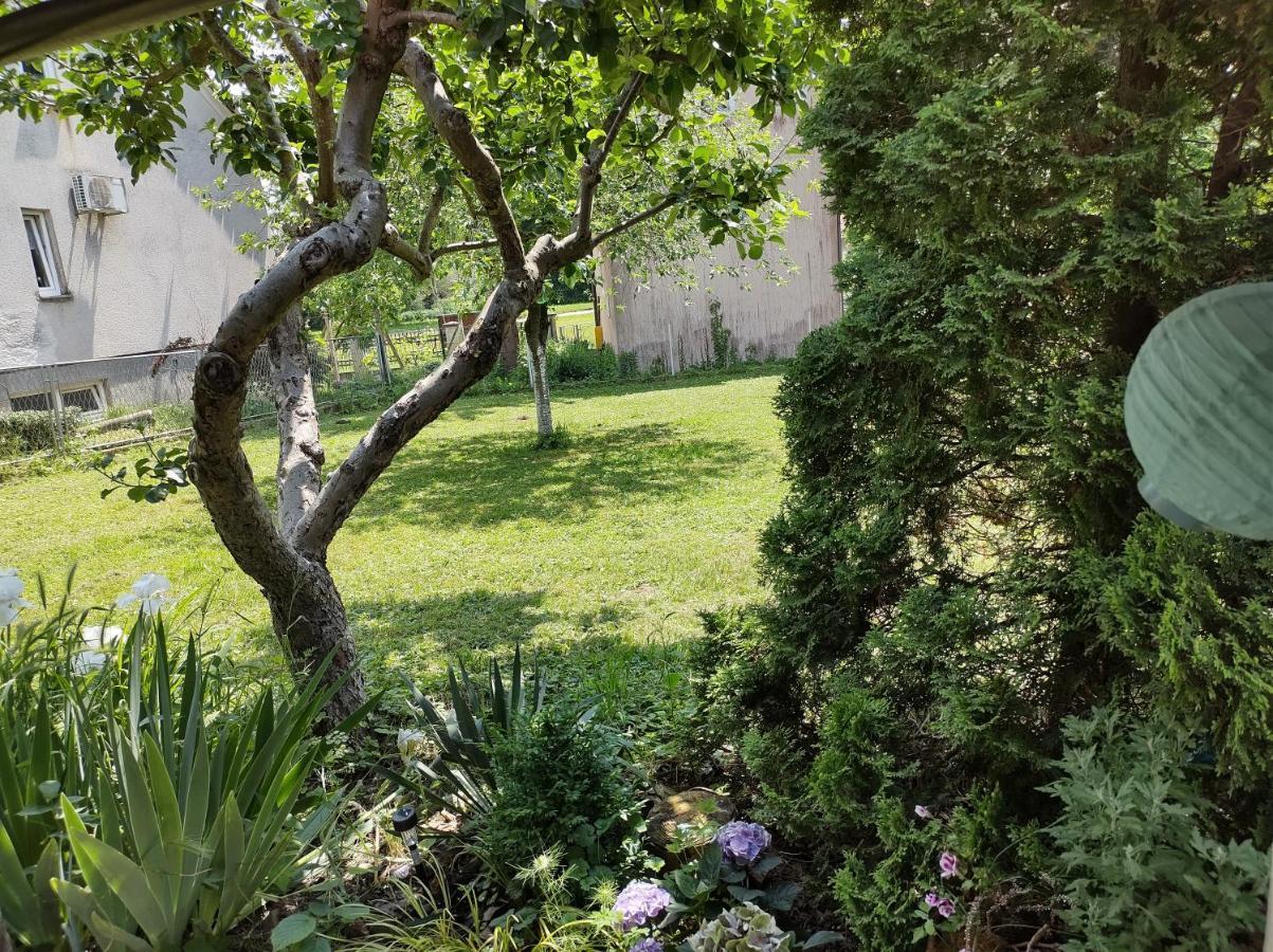 Villa Drenje Kljuc Brdovecki Εξωτερικό φωτογραφία
